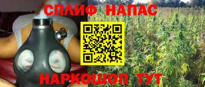 стаф Абакан