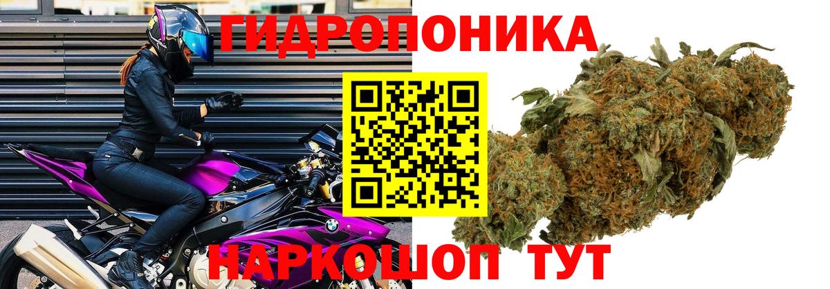 Конопля гибрид  Бошки Шишки SATIVA & INDICA  Анапа  Шишки марихуана конопля  Вход с VPN 